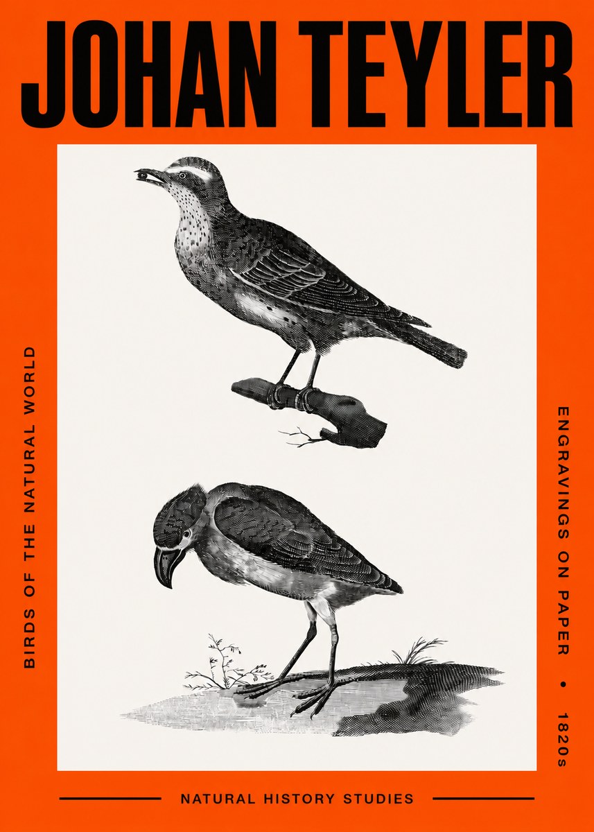 Johan Teyler Birds of the Natural World No2 - Poster