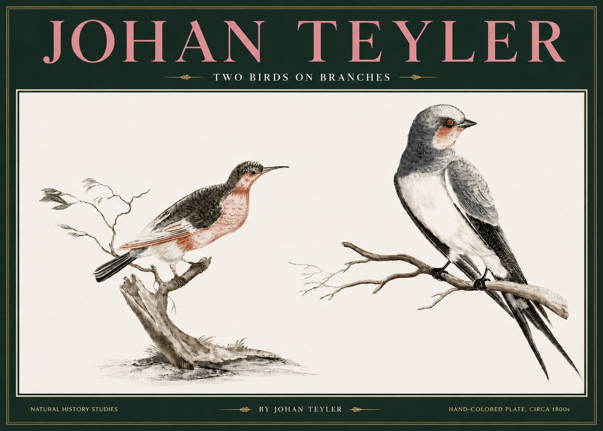 Johan Teyler Two Birds on Branches No3 - Poster