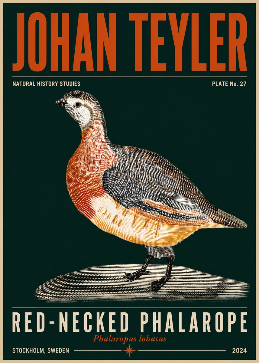 Johan Teyler Red-necked Phalarope No5 - Poster