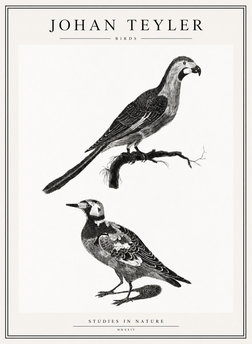 Johan Teyler Birds - Study of Two Species No2 - Poster