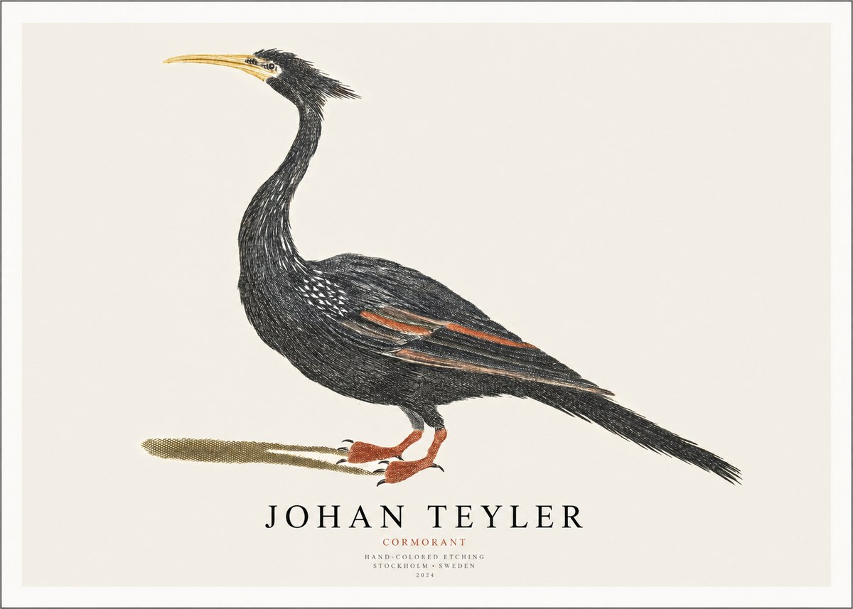 Johan Teyler Cormorant No1 - Poster
