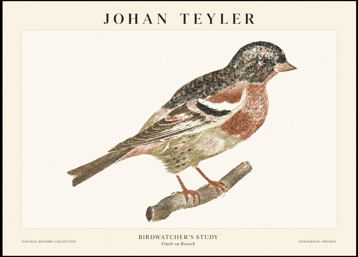 Johan Teyler Finch on Branch No1 - Poster