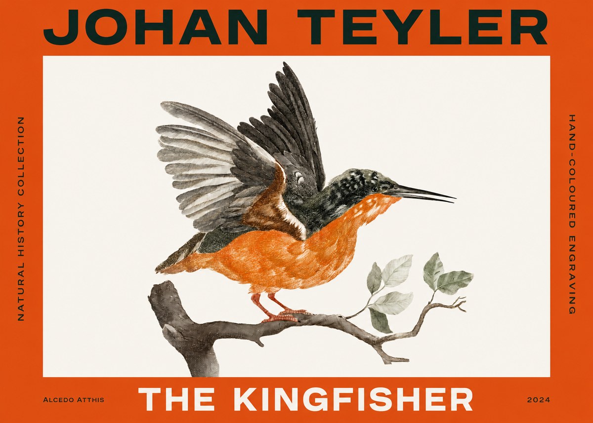 Johan Teyler Kingfisher No4 - Poster