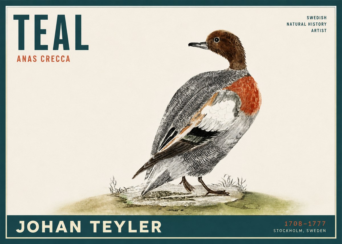 Johan Teyler Teal No2 - Poster