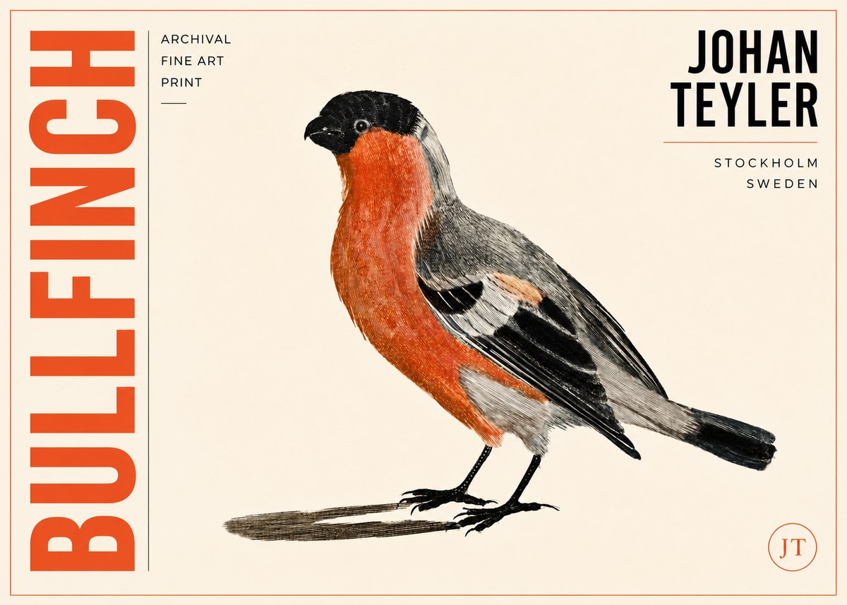 Johan Teyler Bullfinch No3 - Poster