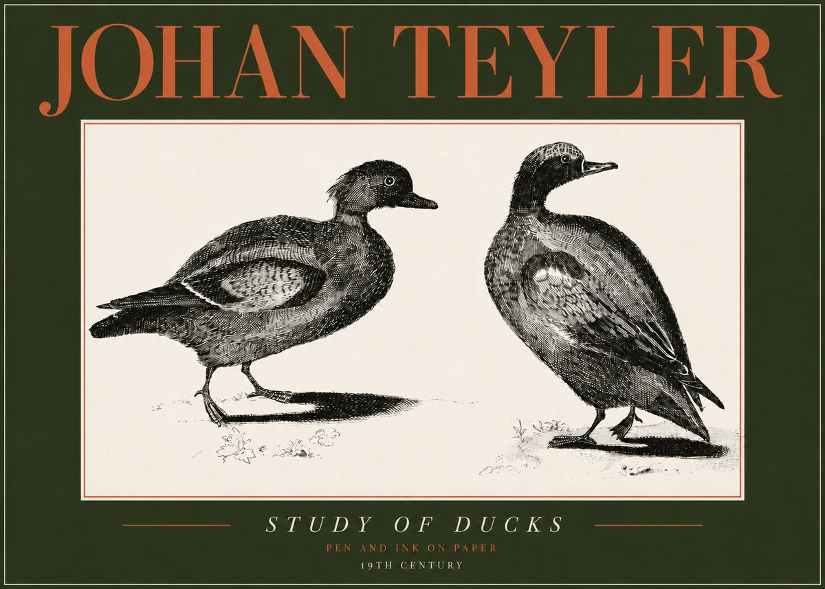 Johan Teyler Study of Ducks No4 - Poster