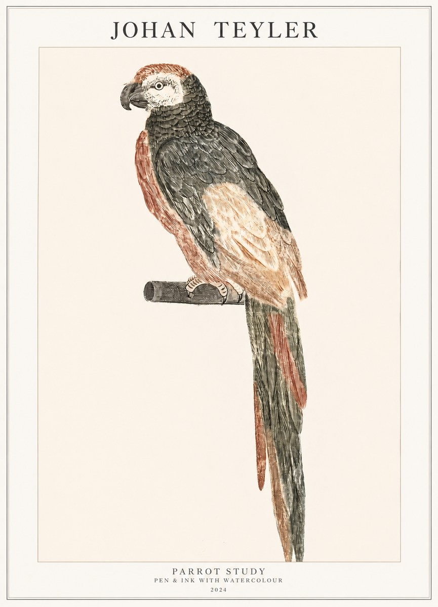Johan Teyler Parrot Study II No1 - Poster