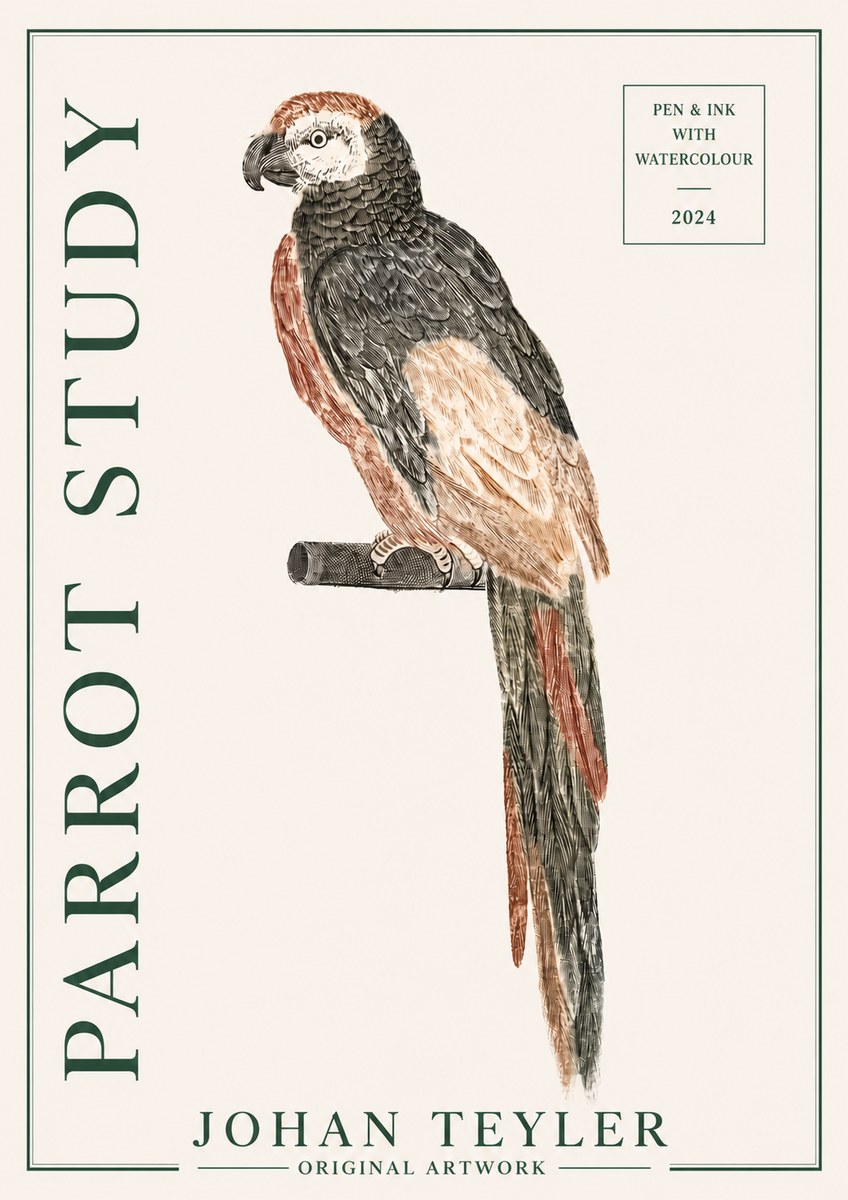 Johan Teyler Parrot Study II No3 - Poster