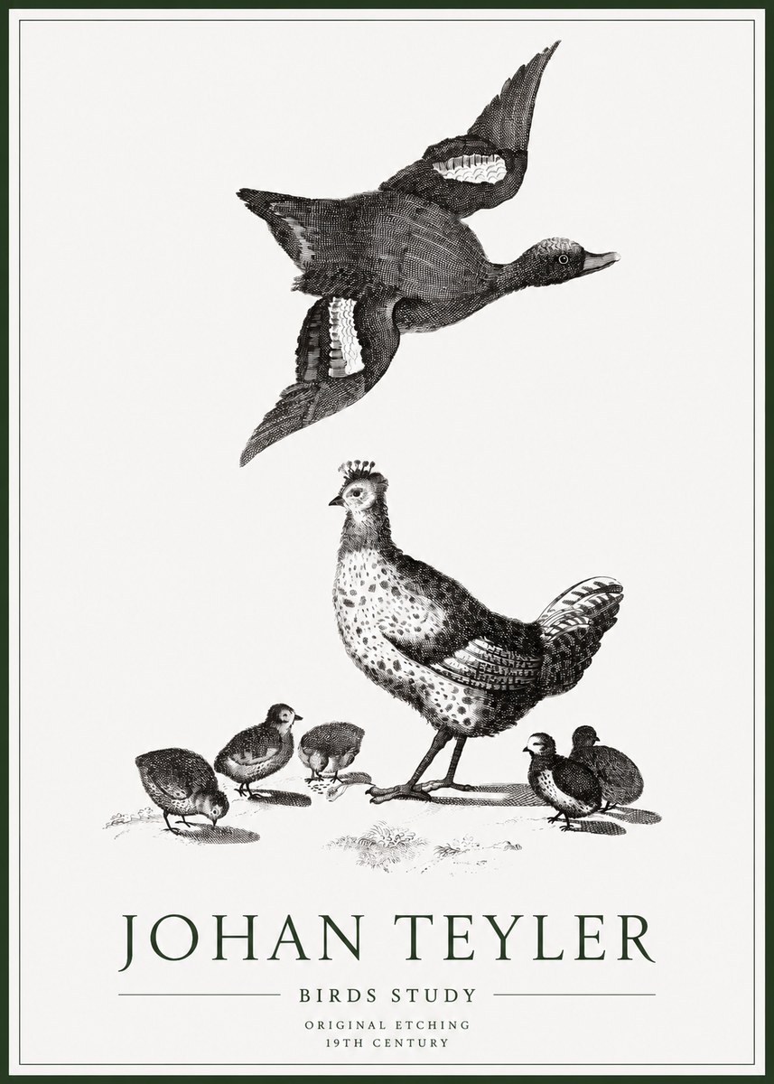 Johan Teyler Birds Study No1 - Poster