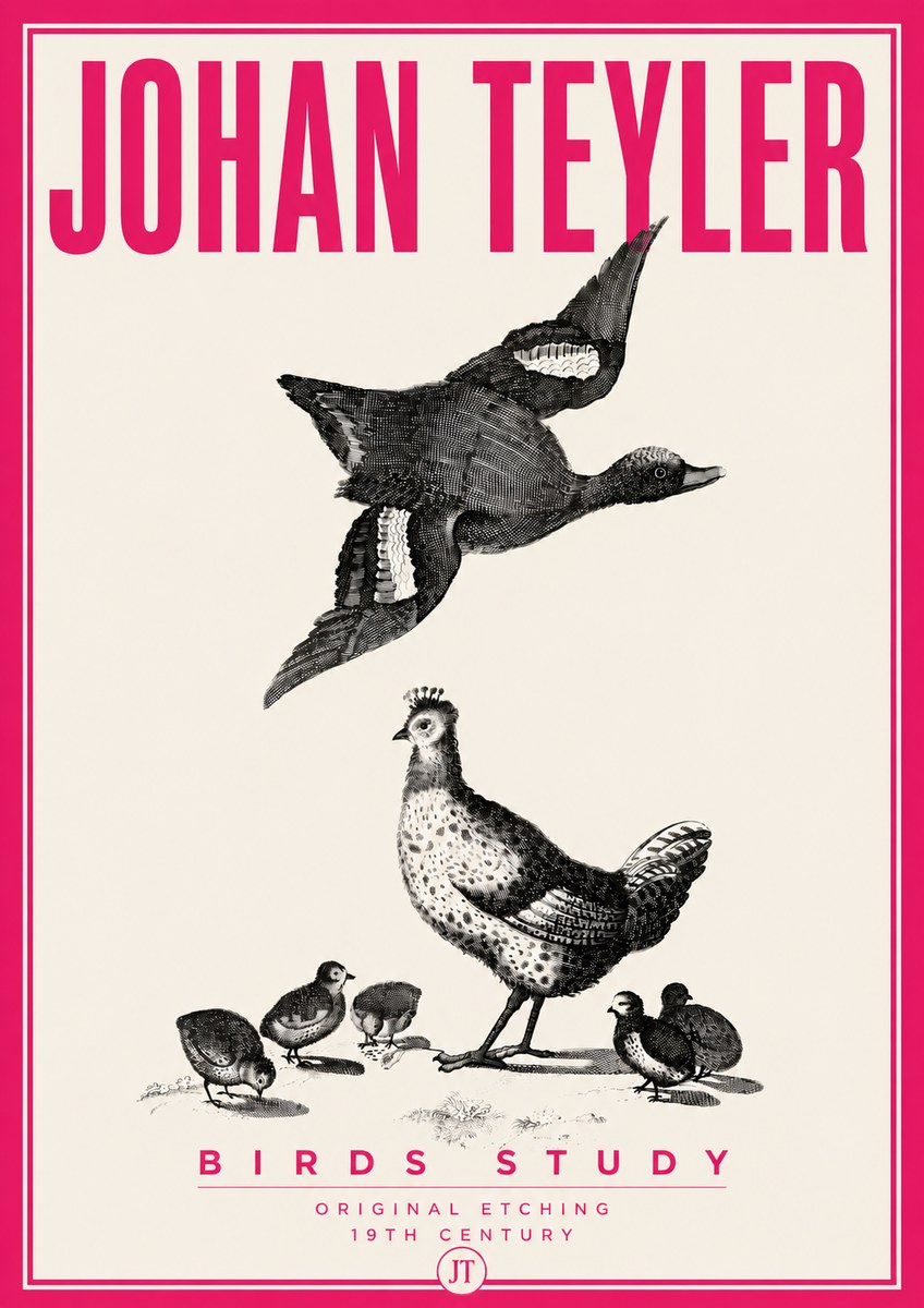 Johan Teyler Birds Study No6 - Poster