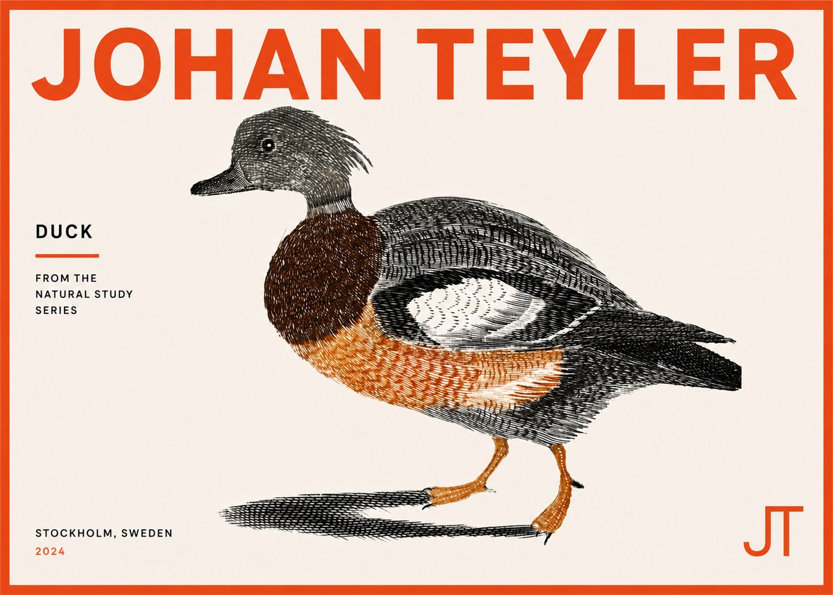 Johan Teyler Duck II No5 - Poster