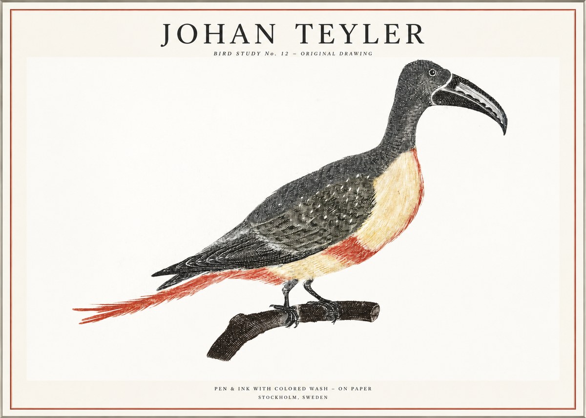 Johan Teyler Bird Study No. 12 - Original Drawing No1 - Poster