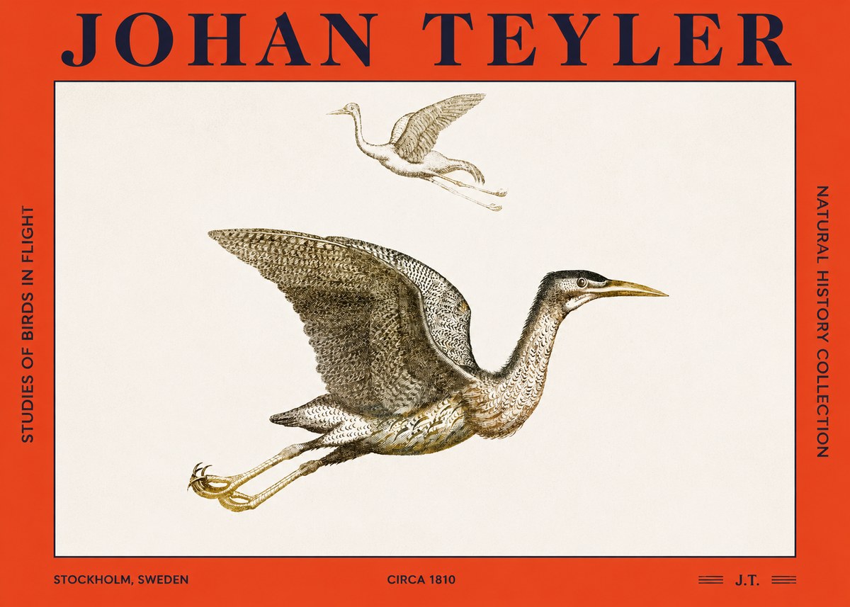 Johan Teyler Studies of Birds in Flight No2 - Poster