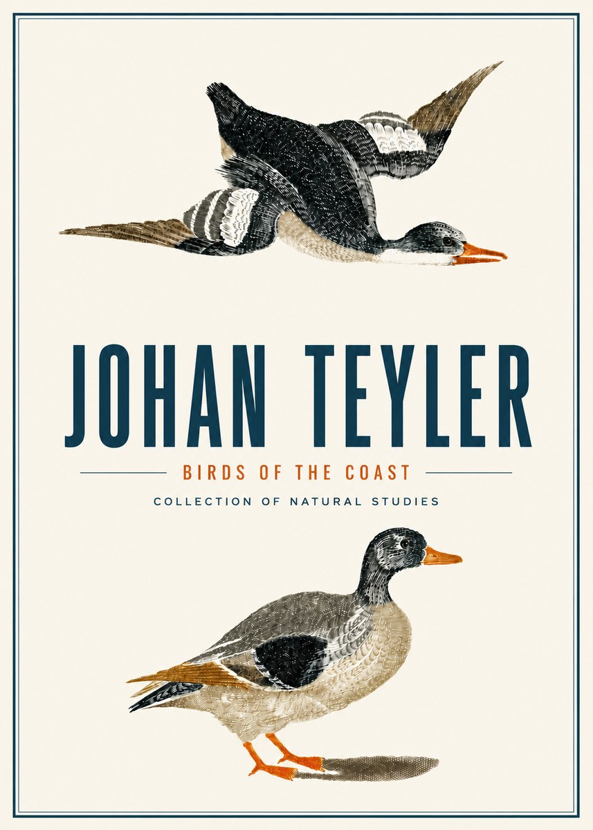 Johan Teyler Birds of the Coast No4 - Poster