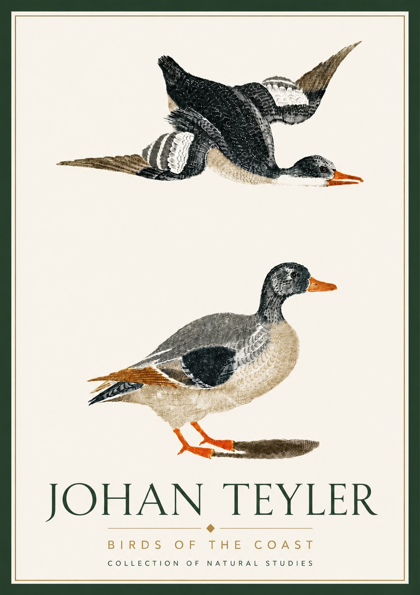Johan Teyler Birds of the Coast No6 - Poster