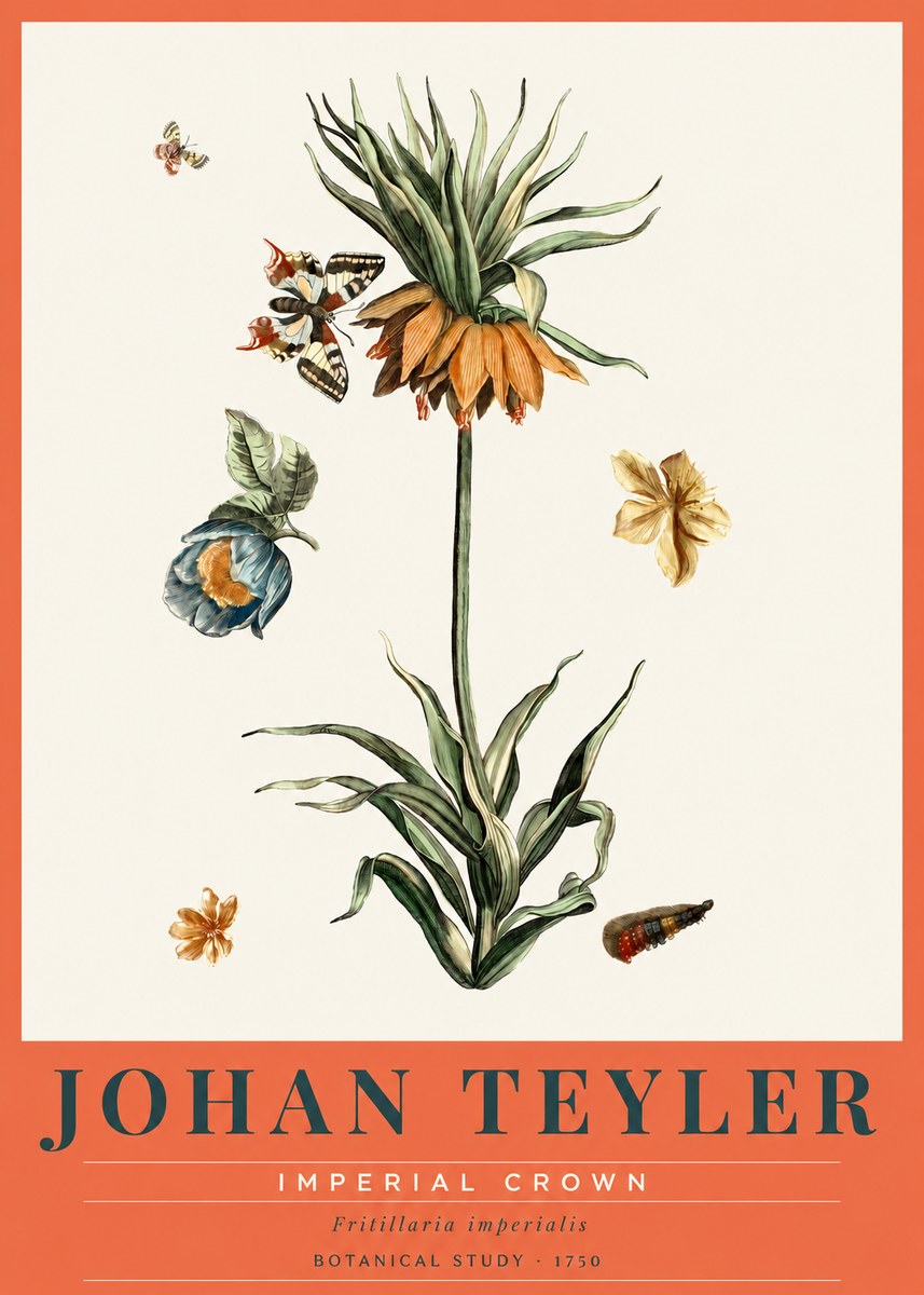 Johan Teyler Crown Imperial No3 - Poster