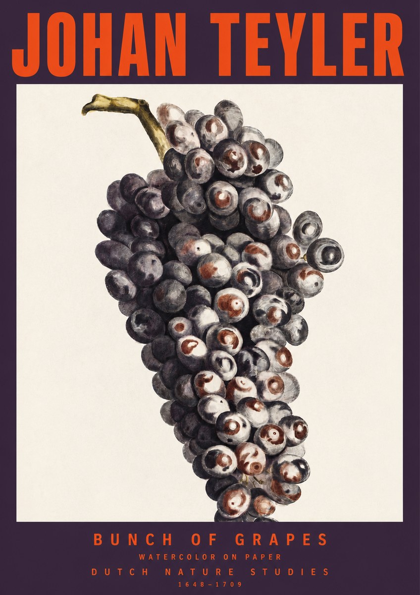 Johan Teyler Bunch of Grapes No2 - Poster