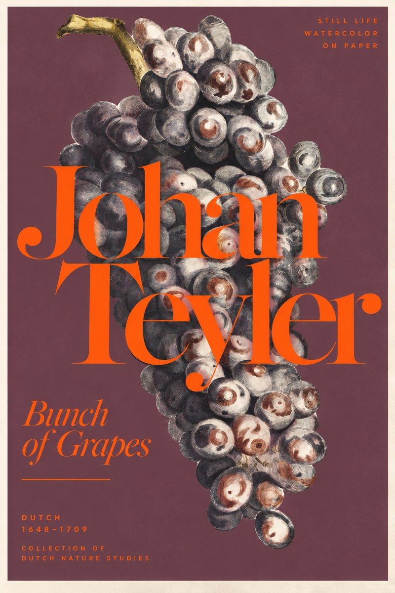 Johan Teyler Bunch of Grapes No3 - Poster