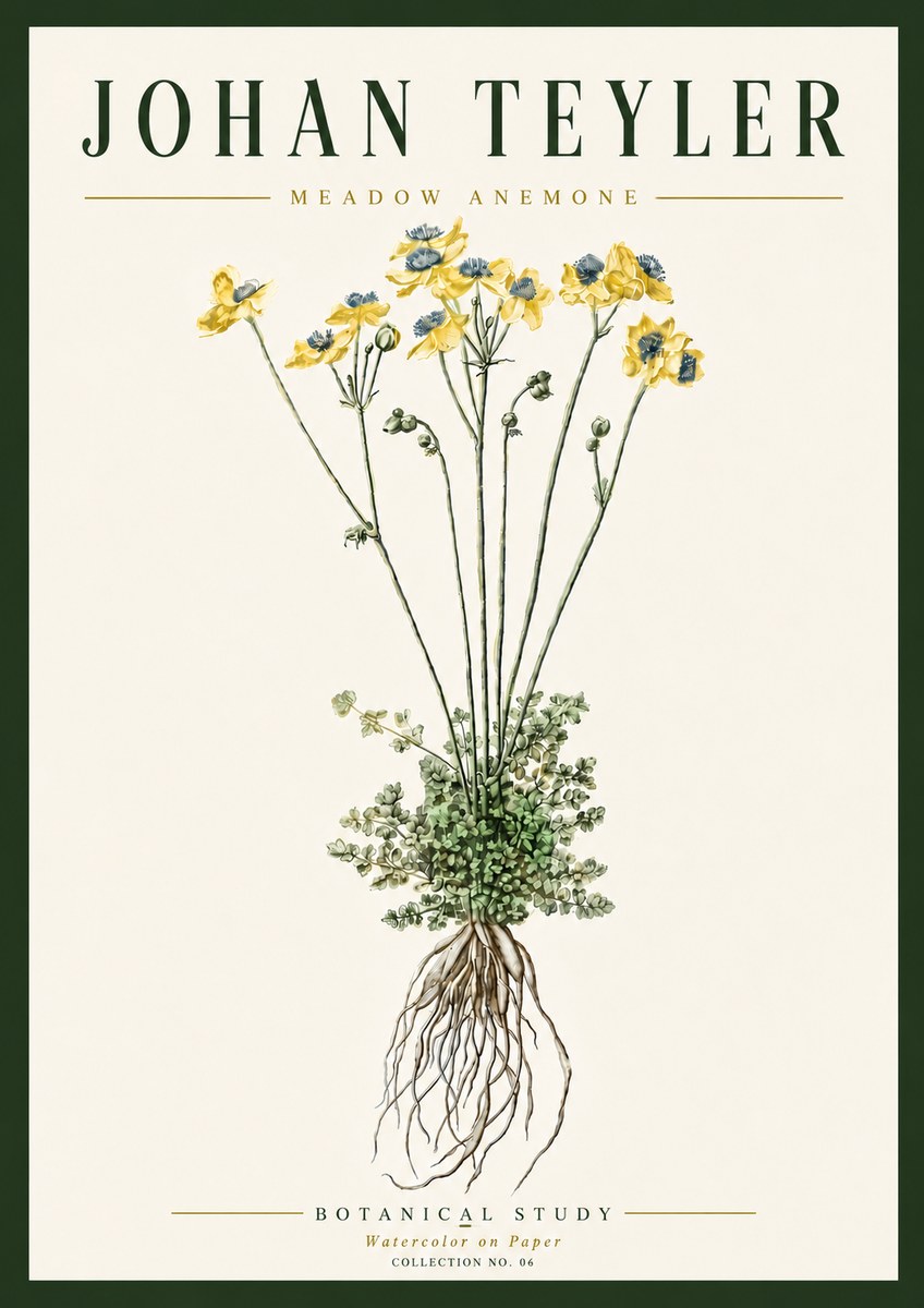 Johan Teyler Meadow Anemone No6 - Poster