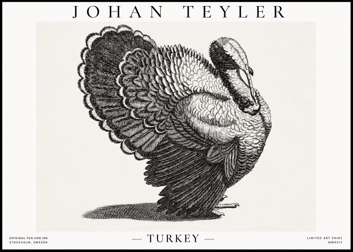 Johan Teyler Turkey No1 - Poster