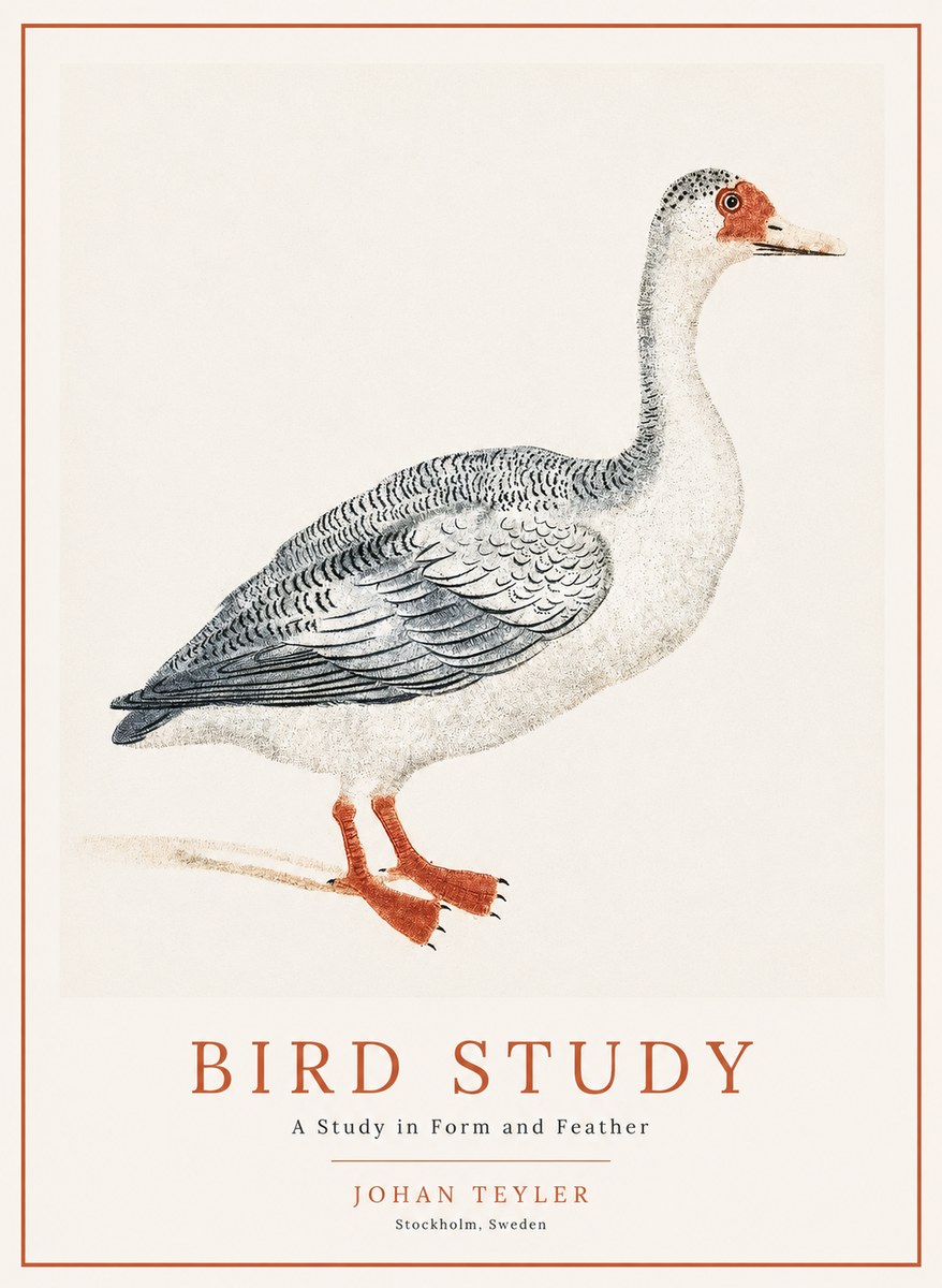 Johan Teyler Goose Study No2 - Poster