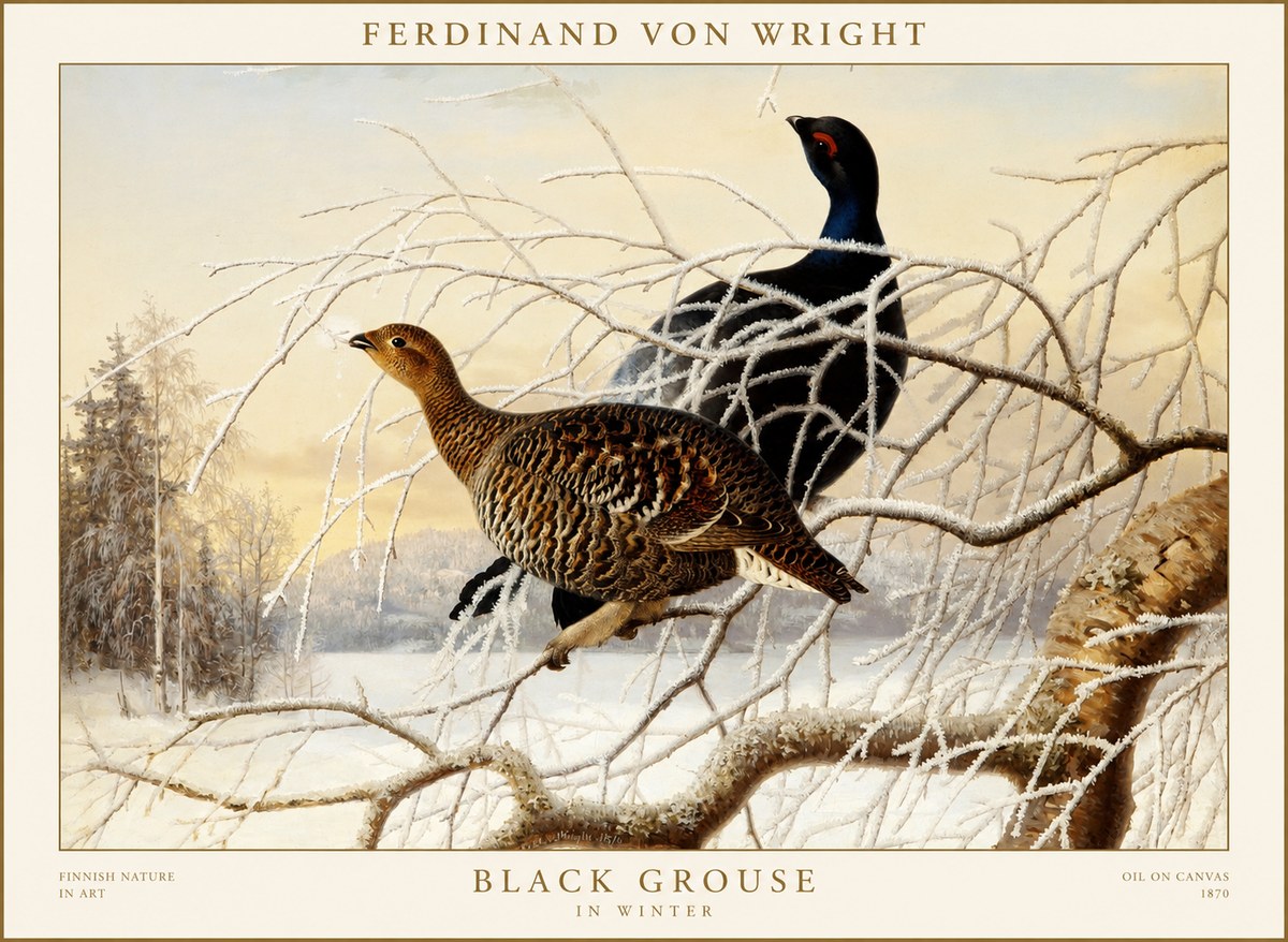 Ferdinand von Wright Black Grouse in Winter No1 - Poster