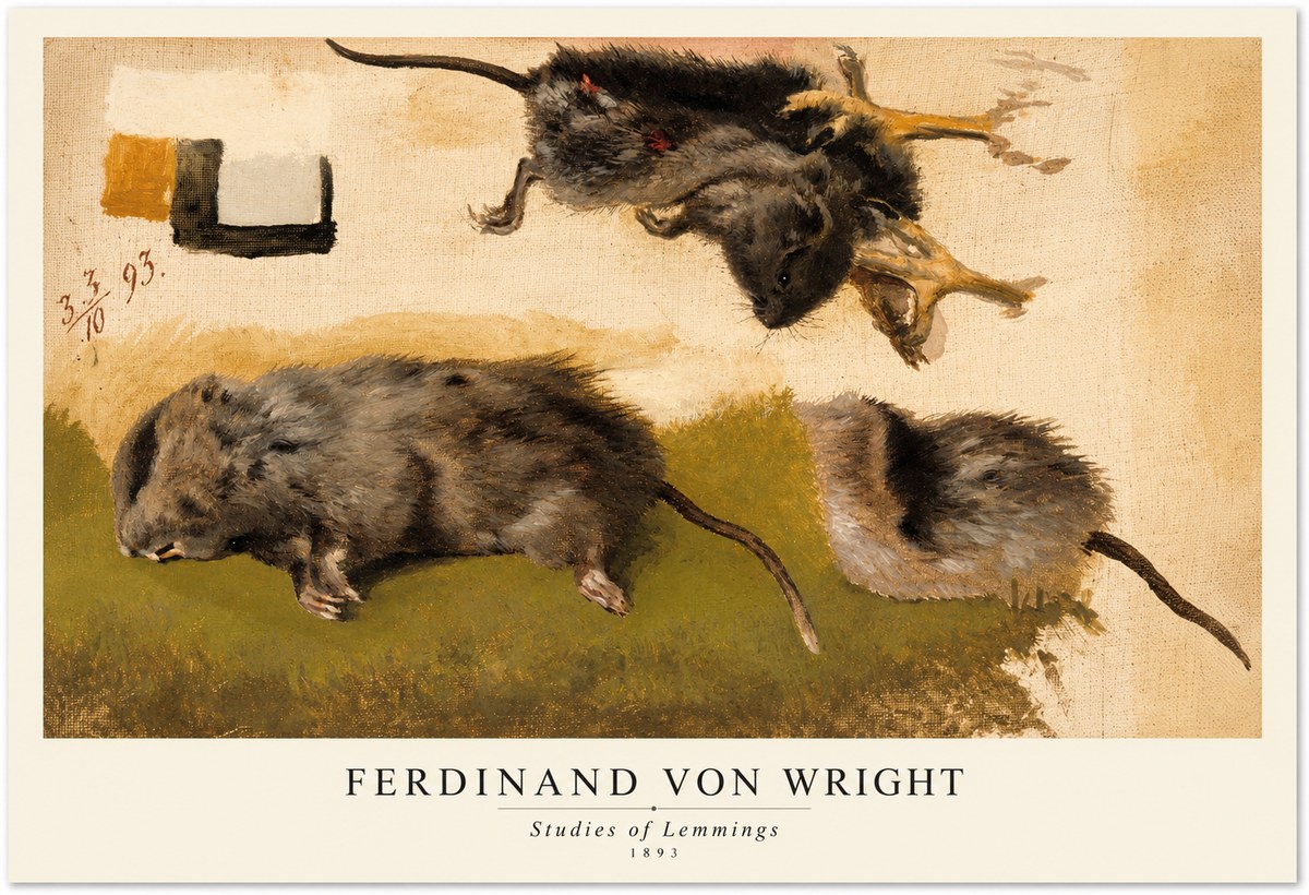 Ferdinand von Wright Studies of Lemmings No1 - Poster