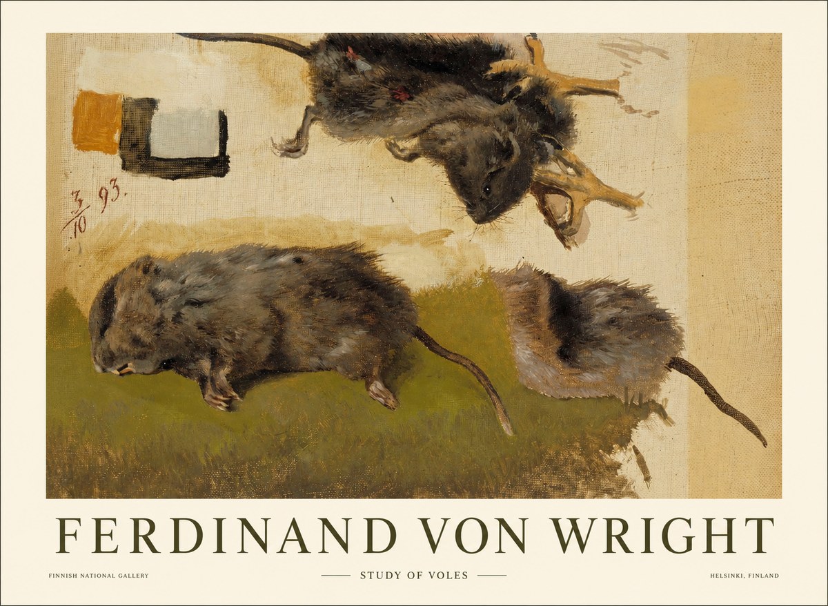 Ferdinand von Wright Studies of Lemmings No2 - Poster