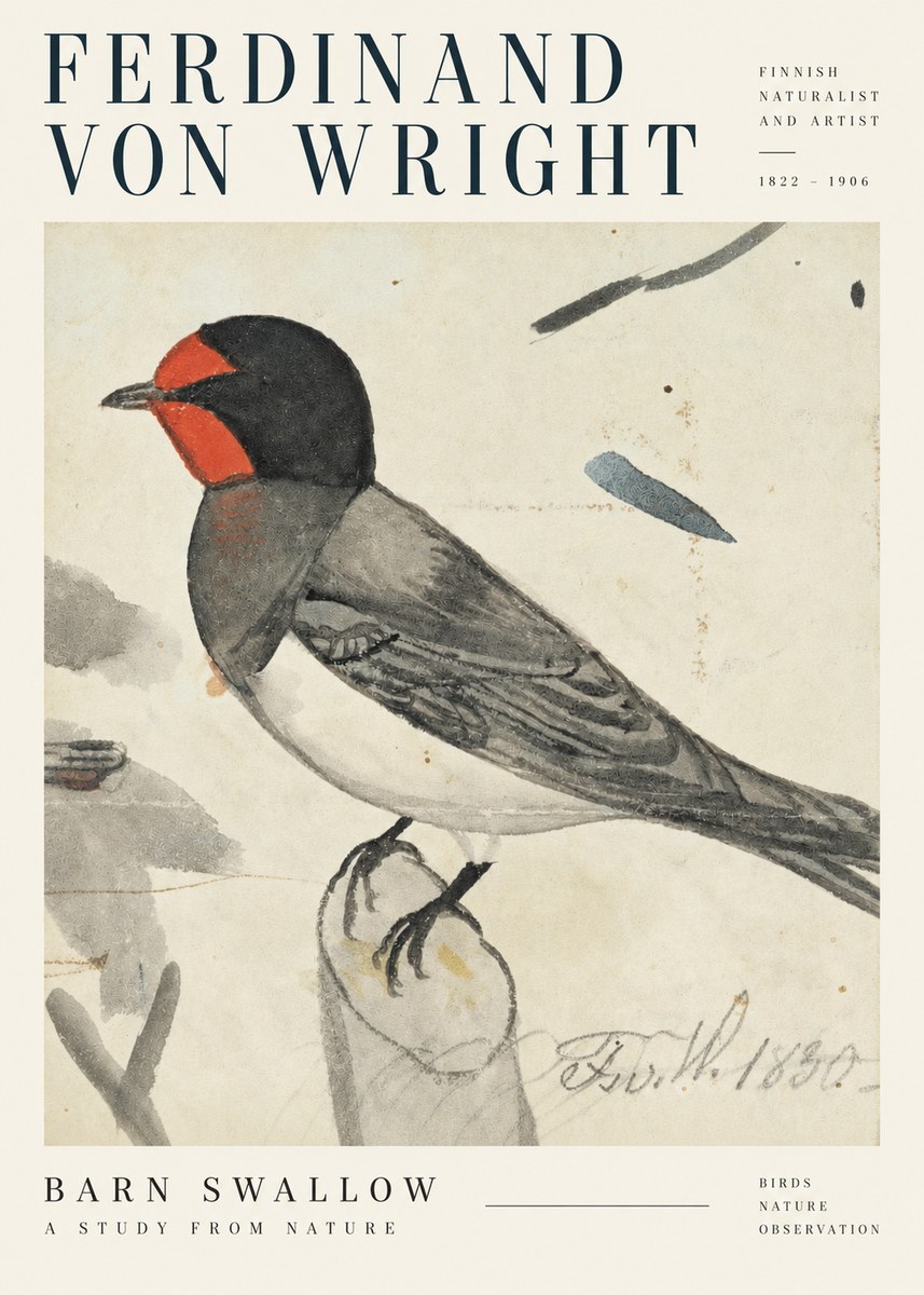 Ferdinand von Wright The Swallow No5 - Poster