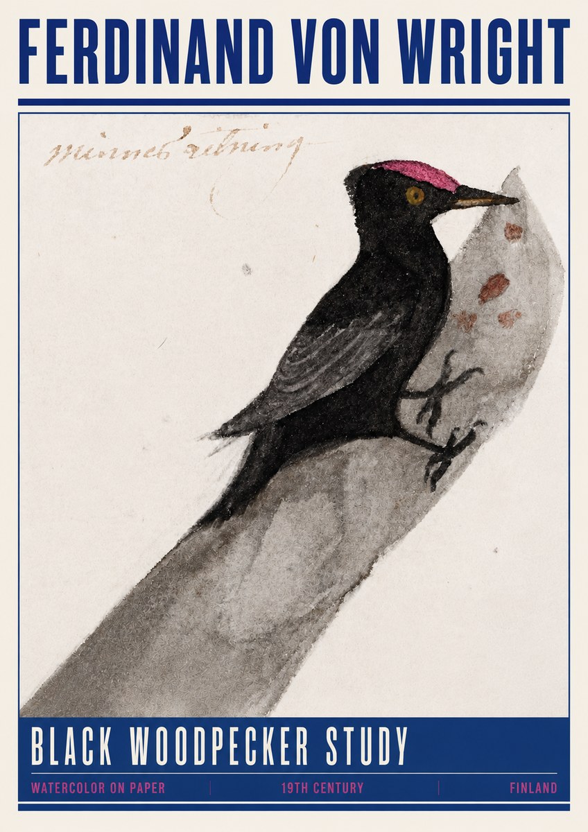 Ferdinand von Wright Black Woodpecker Study No4 - Poster