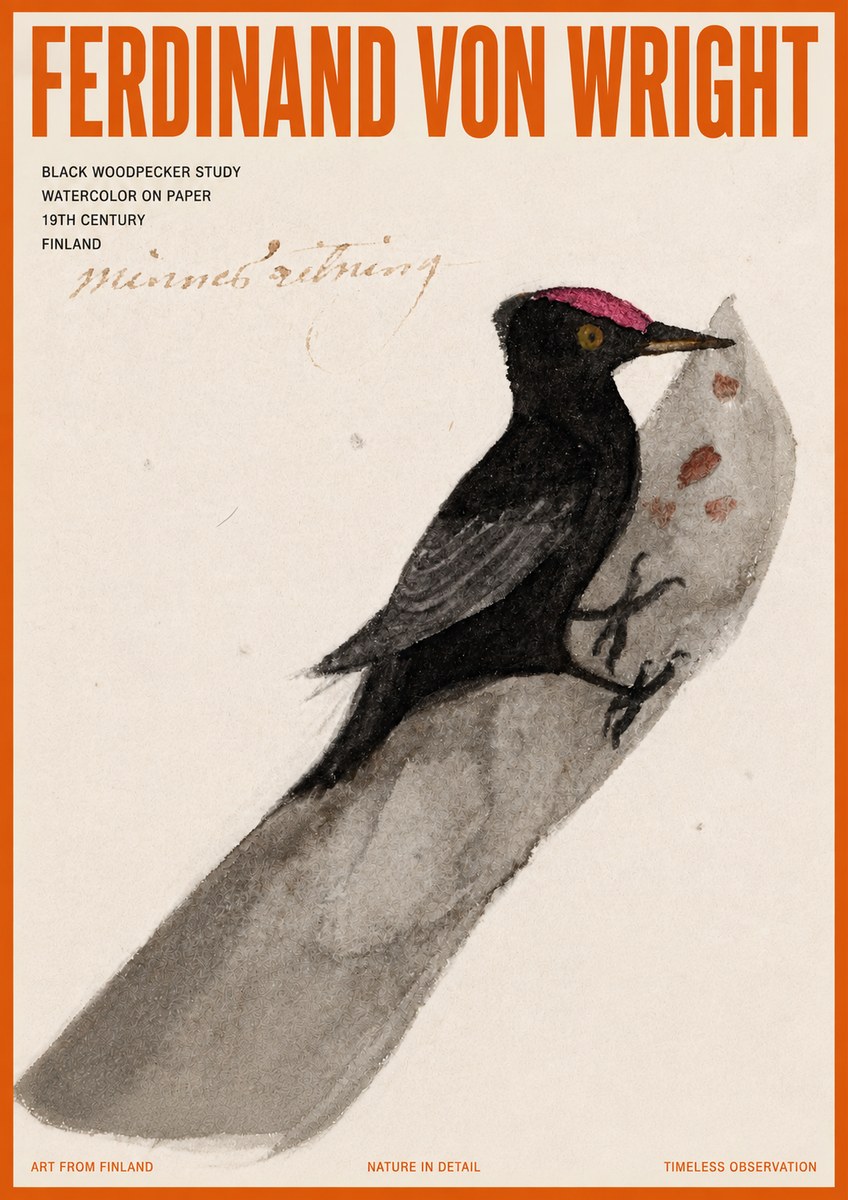 Ferdinand von Wright Black Woodpecker Study No5 - Poster