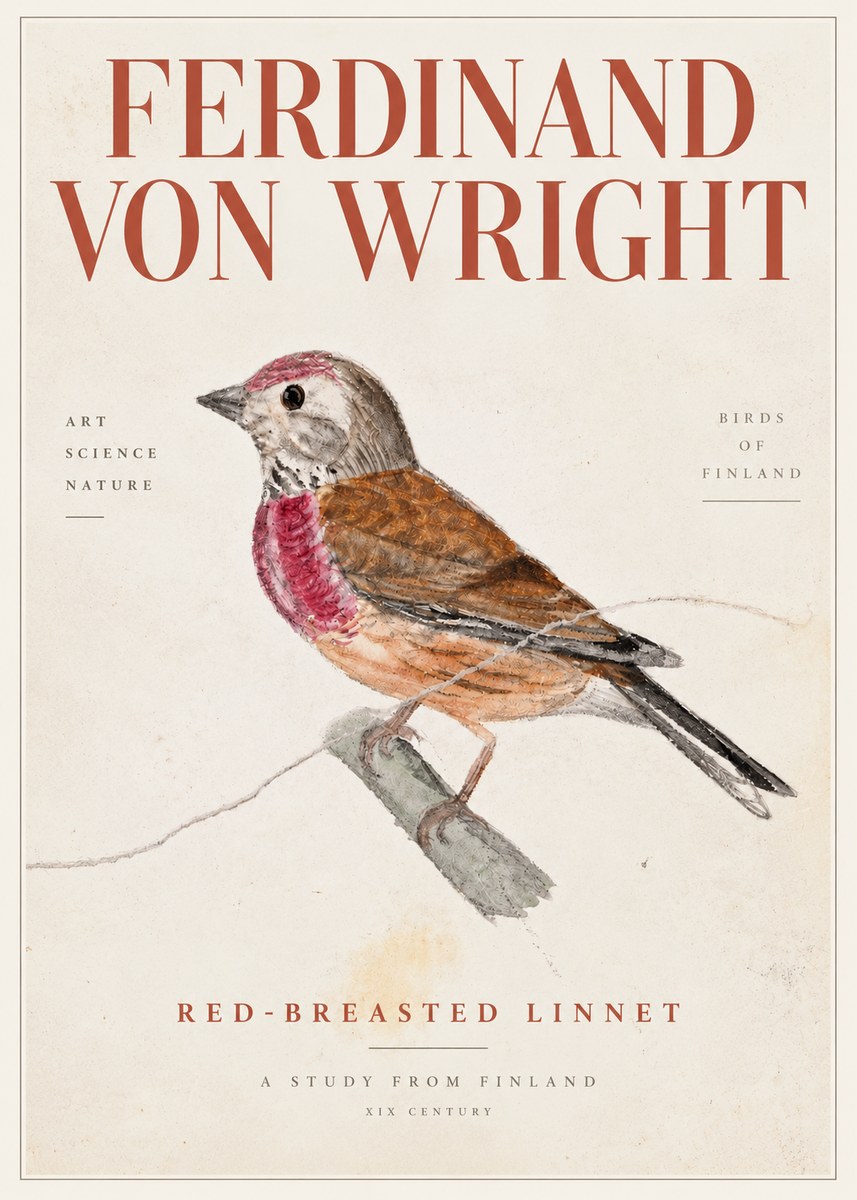 Ferdinand von Wright Bird Study No5 - Poster
