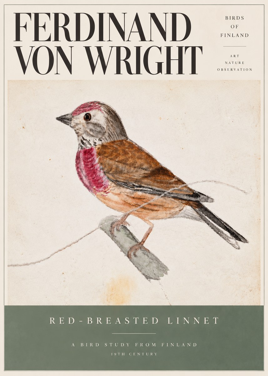 Ferdinand von Wright Bird Study No6 - Poster