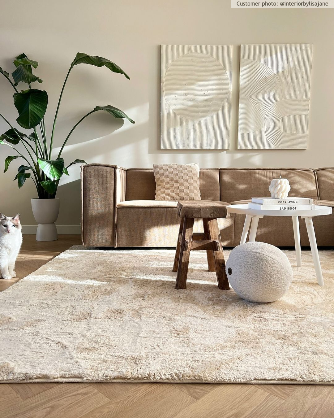 Trendcarpet